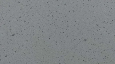 Slow motion snow falling Stock Footage 72091636