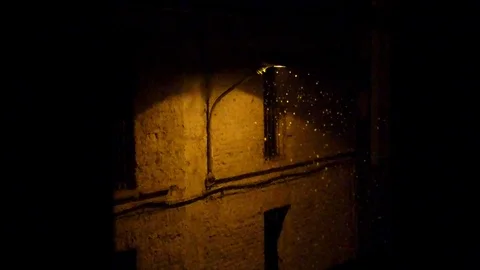 Slow motion of snow falling Stock Footage 102170885