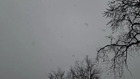 Slow Motion Snow Falling Video stock 196042466