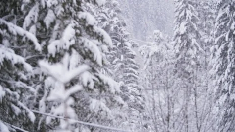 Slow Motion Snow Falling In The Forest Stock-Footage 85104158