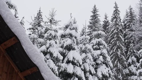 Slow Motion Of Snow Falling In The Mountains Stock Footage 85104112