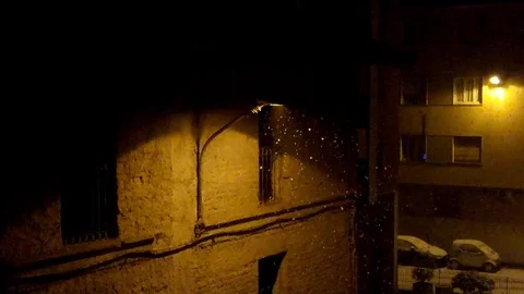 Slow motion of snow falling in the night Stock Footage 102170776