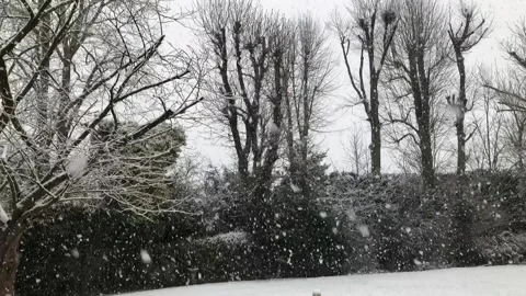 Slow motion snow falling over garden scene in winter Video stock 147128538