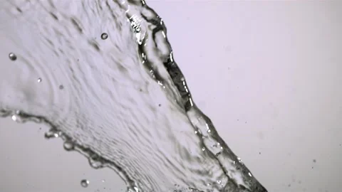 Slow motion of snow falling on pine trees in winter forest cov Video stock 326030032