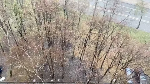 Slow motion snow falling the sky to the trees. A view from the above. Video stock 121116962