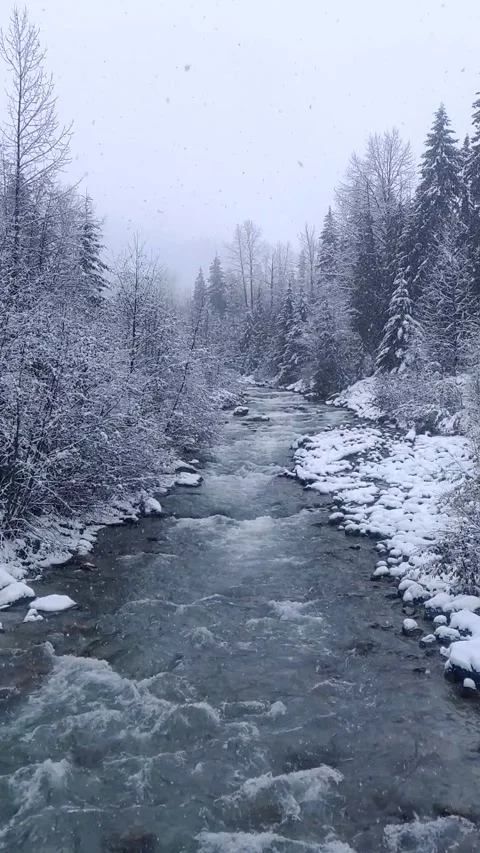 Slow Motion Snow Falling Onto a Tree-Lined River Stock Footage 168905808