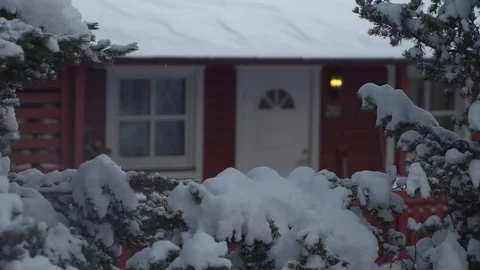 Slow motion of snow falling on twigs with a wooden house in the background Stock Footage 81452795