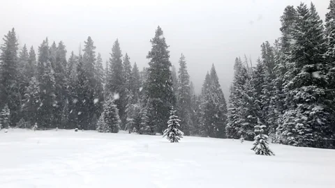 Slow motion snow falling in winter storm Montana mountains Stock Footage 83065741