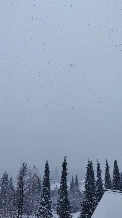 Slow Motion Snow Falling Onto Winter Village Stock Footage 168905814