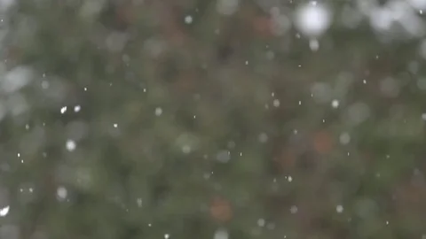 Slow Motion Of Snow Flakes Falling Stockbeeldmateriaal 84806318