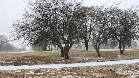 Slow-motion snow on golf course Video stock 85572969