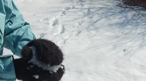 Slow motion snowball packing Stock Footage 61376409