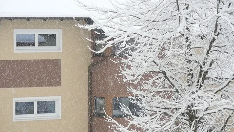 Slow motion of snowfall Stock Footage 97393278