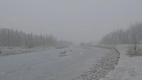 Slow Motion Snowfall Stock Footage