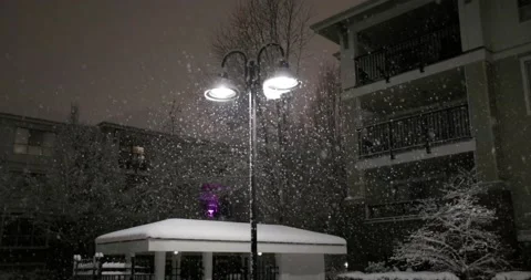 Slow motion snowfall at night Stock Footage 230314444
