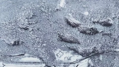 Slow Motion Snowfall Over Snowy Forest, Forward Top Down Drone Flight in Korea Stock Footage 344247843