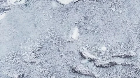 Slow Motion Snowfall Over Winter Forest, Top Down Drone View in Korea Stock Footage 344247832