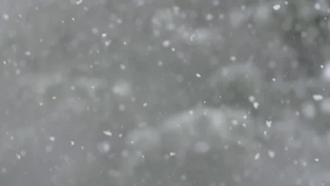 Slow motion snowfall pan down to ledge with snowy trees in background Stock Footage 78452582