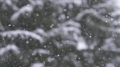 Slow motion snowfall pan down with snowy trees in background 動画素材 78452807