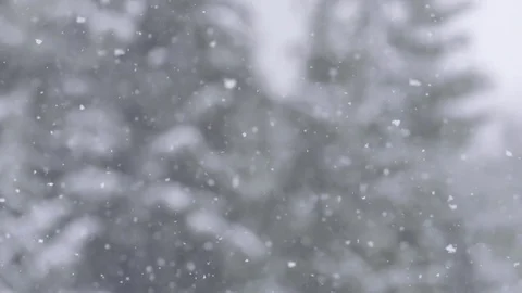 Slow motion snowfall pan down with snowy trees in background 動画素材 78452883