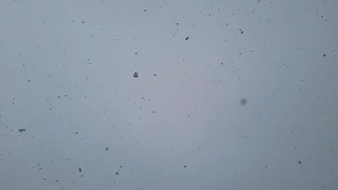 Slow motion snowfall, Slow motion snowfall on blue sky background.  Stock Footage 272218522