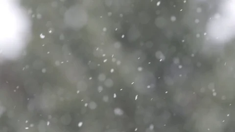 Slow motion snowfall with snowy trees in background 動画素材 78451677