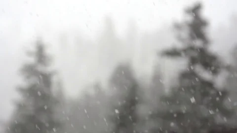 Slow motion snowfall with snowy trees focus push 動画素材 78452843
