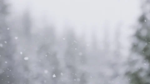 Slow motion snowfall with snowy trees in background 動画素材 78452932