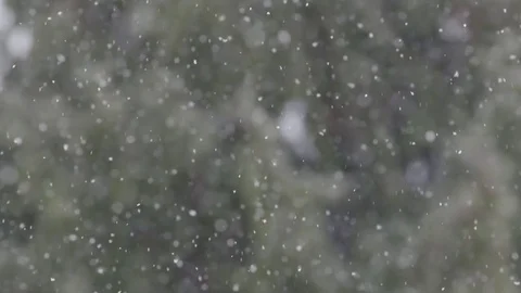 Slow motion snowfall with trees in the background 動画素材 78449826