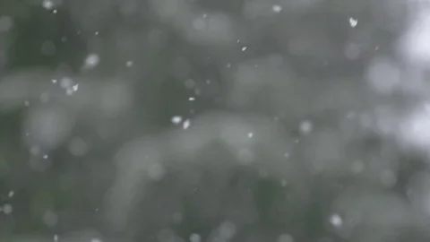 Slow motion snowfall with trees in the background Stock Footage 78449945