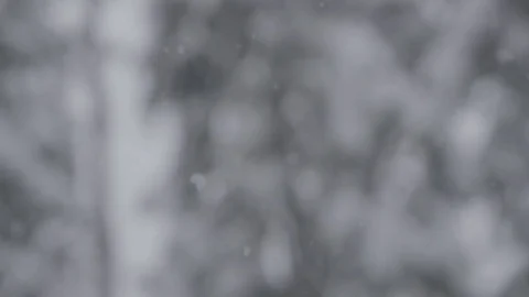 Slow motion snowfall with trees in the background 動画素材 78453138