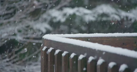 Slow motion snowflake accumulation on guard rail snow covered tree coniferous Stockbeeldmateriaal 258379018