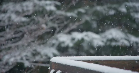 Slow motion snowflake accumulation guard rail snow covered tree coniferous 動画素材 258381355