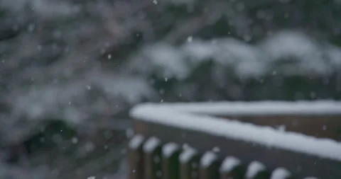 Slow motion snowflake accumulation snow covered tree coniferous and guard rail Stock Footage 258379439