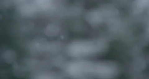 Slow motion snowflake accumulation snow covered tree coniferous pan left 스톡 동영상 258380358