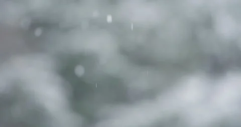 Slow motion snowflake accumulation snow covered tree coniferous 240fps Stock Footage 258380853
