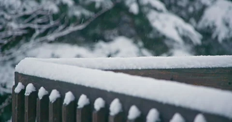 Slow motion snowflake accumulation snow covered guard rail tree coniferous Vídeo Stock 258382776