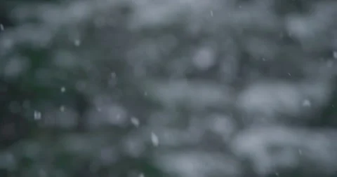 Slow motion snowflake with background accumulation snow covered tree coniferous 動画素材 258379418