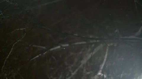 Slow motion snowflakes falling against a night sky and trees. Stock Footage 325687984
