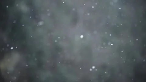 Slow Motion Snowflakes Falling in Air with Blurred Background Vídeo Stock 335791756