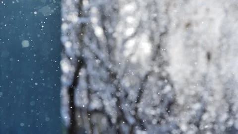 Slow Motion Snowflakes Glowing in Winter Sunlight Against Frosty Trees in Latvia 库存影片 342781085