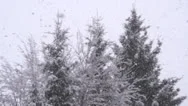 Slow Motion: Snowing In Forest Stock Footage