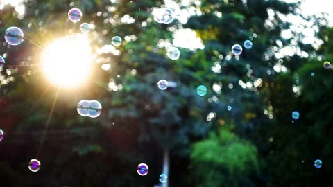 Slow motion of soap bubbles floating in sunset Stock Footage 74025249