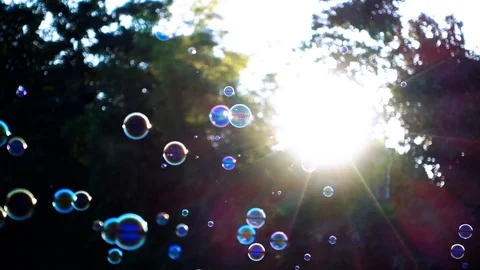 Slow motion of soap bubbles floating in sunset Stock Footage 74025554