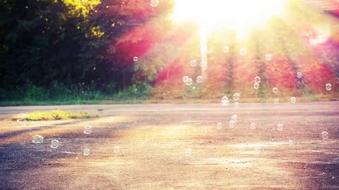 Slow motion of soap bubbles floating in sunset Stock Footage 74072569