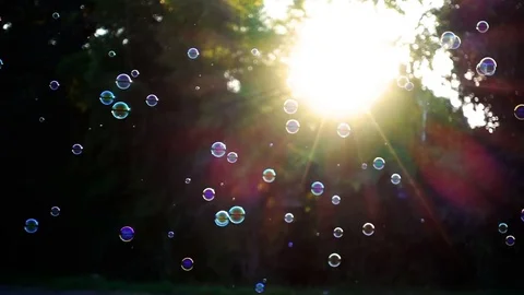 Slow motion of soap bubbles floating in sunset Stock Footage 74117407