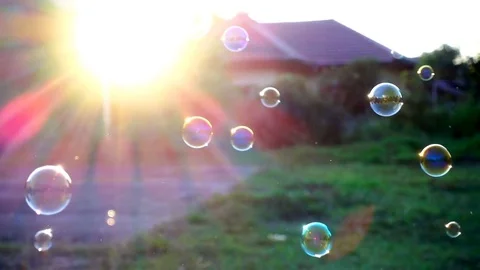 Slow motion of soap bubbles floating in sunset Stock Footage 74119028