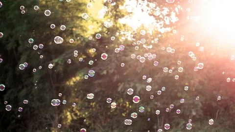 Slow motion of soap bubbles floating in sunset Stock Footage 74214476