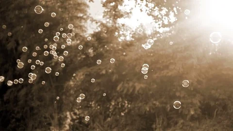 Slow motion of soap bubbles floating in sunset Stock Footage 76017871