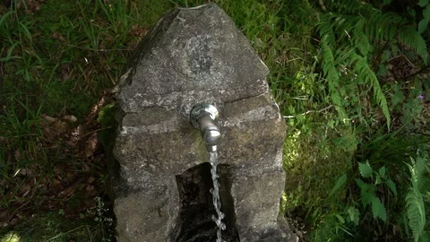 Slow-motion source Stock Footage 95567973